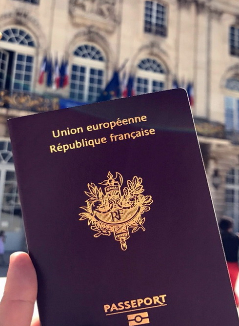 Как выглядит паспорт ЕС