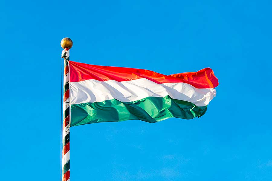 Гражданство Венгрии по корням